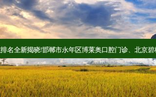 国内十大正规牙科医院排名全新揭晓!邯郸市永年区博莱奥口腔门诊、北京碧格口腔诊所等,稳居前五