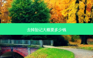 去掉胎记大概要多少钱