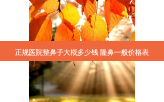 正规医院整鼻子大概多少钱 隆鼻一般价格表