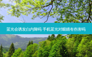 蓝光会诱发白内障吗 手机蓝光对眼睛有伤害吗
