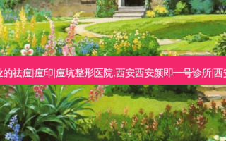 西安排名前十专业的祛痘|痘印|痘坑整形医院,西安西安颜即一号诊所|西安邵锦弘医生诊所