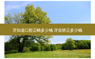 牙知道口腔正畸多少钱 牙齿矫正多少钱