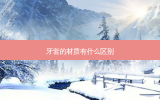 牙套的材质有什么区别