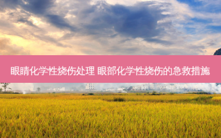 眼睛化学性烧伤处理 眼部化学性烧伤的急救措施