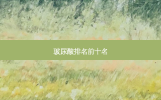 玻尿酸排名前十名