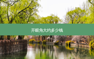 开眼角大约多少钱