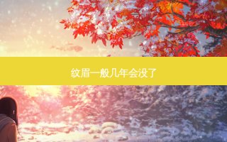 纹眉一般几年会没了