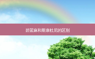 碧蓝麻和斯康杜尼的区别