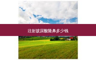 注射玻尿酸隆鼻多少钱