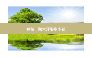 种植一颗大牙要多少钱
