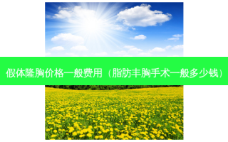 假体隆胸价格一般费用（脂肪丰胸手术一般多少钱）