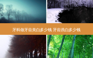 牙科做牙齿美白多少钱 牙齿洗白多少钱