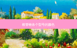 根管锉各个型号的颜色