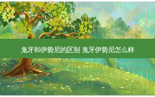 鬼牙和伊势尼的区别 鬼牙伊势尼怎么样