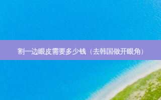割一边眼皮需要多少钱（去韩国做开眼角）