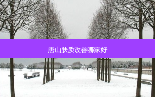 唐山肤质哪家好