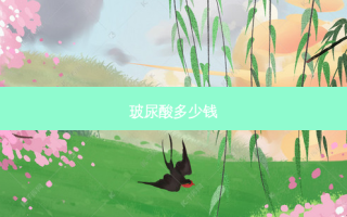 玻尿酸多少钱