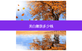 美白嫩肤多少钱