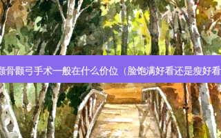 颧骨颧弓手术一般在什么价位（脸饱满好看还是瘦好看）