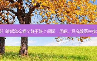 武汉诠美门诊部怎么样？好不好？周际、周际、吕金陵医生技术好吗？
