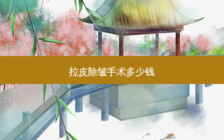 拉皮除皱手术多少钱