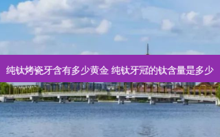 纯钛烤瓷牙含有多少黄金 纯钛牙冠的钛含量是多少