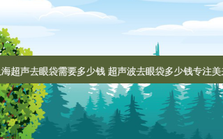 上海超声去眼袋需要多少钱 超声波去眼袋多少钱专注美来