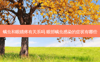 螨虫和眼睛疼有关系吗 眼部螨虫感染的症状有哪些