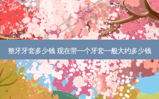 整牙牙套多少钱 现在带一个牙套一般大约多少钱